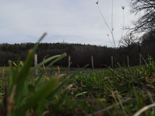 DJI_2098.JPG